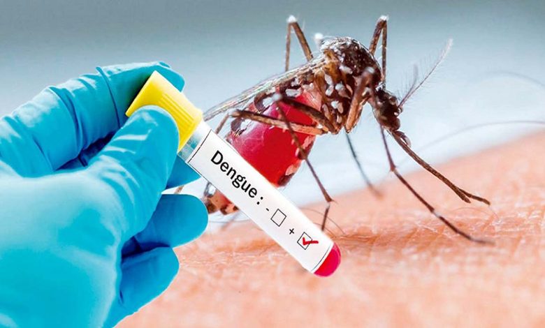 up dengue case