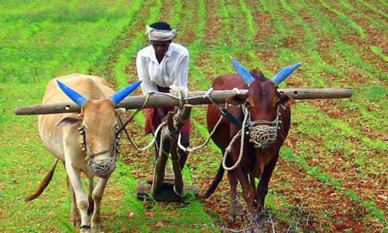 campaign in up solve farmers problems